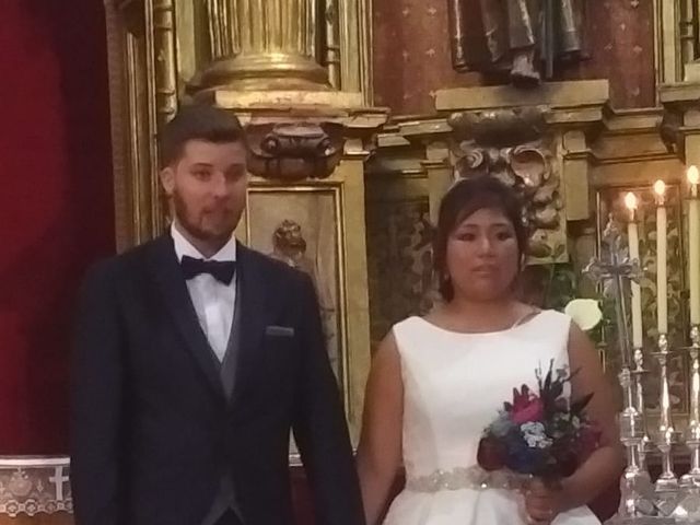 La boda de Gloria y Daniel en Ampudia, Palencia 18