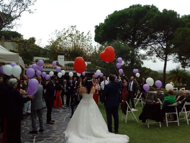 La boda de Joan Marc y Sonia en Sant Cebria De Vallalta, Barcelona 7