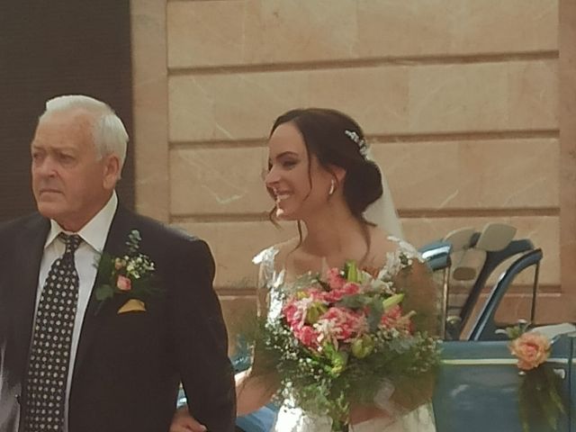 La boda de Natalia y Zeus en Aspe, Alicante 8