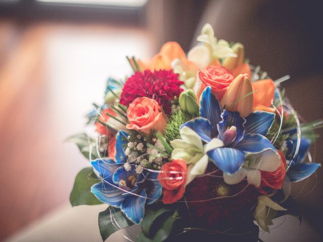 La boda de Pablo y Lola en Aranjuez, Madrid 6