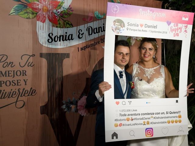 La boda de Daniel y Sonia en Jimena De La Frontera, Cádiz 38