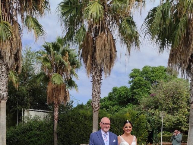La boda de Iván  y Elsa en Palma Del Rio, Córdoba 4