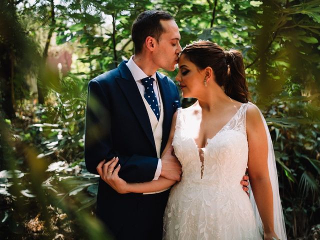 La boda de Iván  y Elsa en Palma Del Rio, Córdoba 1
