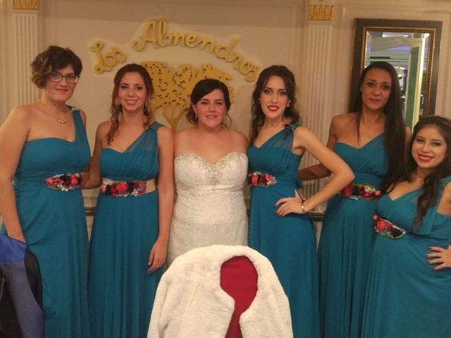 La boda de Julian  y Alejandra en Elx/elche, Alicante 2