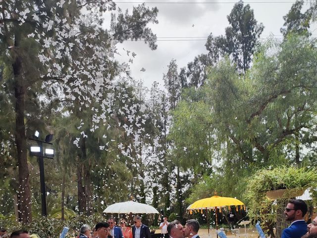 La boda de Jesús  y Manuel en Lebrija, Sevilla 2