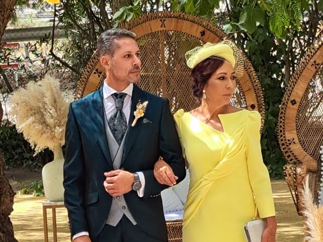 La boda de Jesús  y Manuel en Lebrija, Sevilla 4