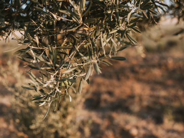 La boda de Sergio y María en Torremocha Del Jarama, Madrid 85