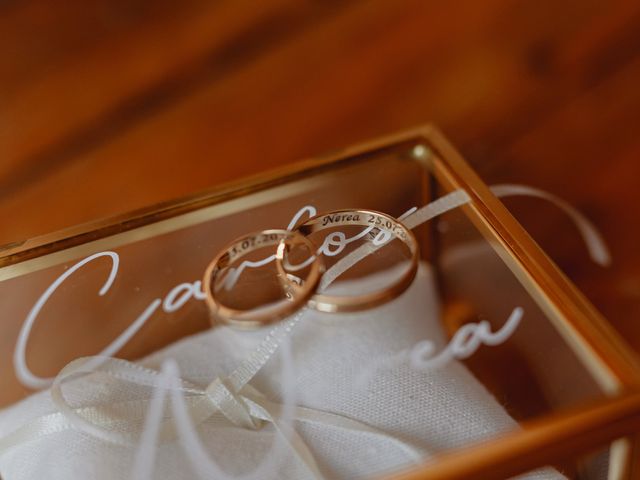 La boda de Nerea y Carlos en Ciudad Real, Ciudad Real 25