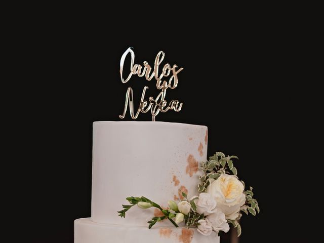 La boda de Nerea y Carlos en Ciudad Real, Ciudad Real 177