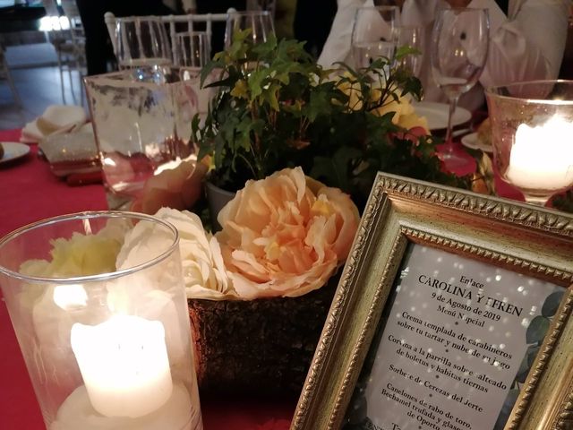 La boda de Carol  y Efrén en Valdilecha, Madrid 5