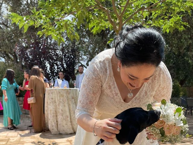 La boda de Fernando  y Dámaris  en Sallent, Barcelona 4