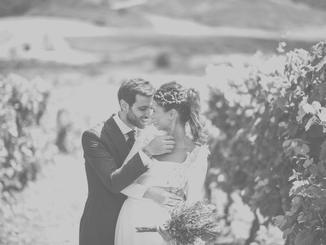 La boda de Sergio y Victoria en Villamayor De Monjardin, Navarra 28