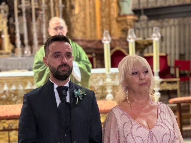 La boda de Carlos y Almu en Elx/elche, Alicante 3