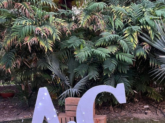 La boda de Carlos y Almu en Elx/elche, Alicante 6
