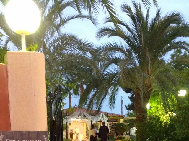 La boda de Juan Carlos y Noemí en Elx/elche, Alicante 111