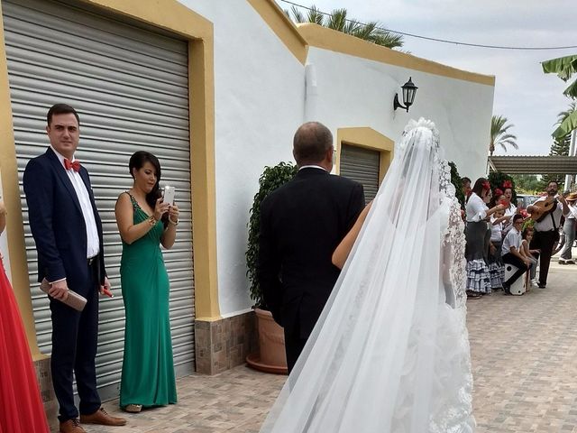 La boda de Juan Carlos y Noemí en Elx/elche, Alicante 114