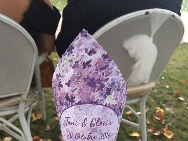 La boda de Toni  y Gloria  en Murchante, Navarra 6