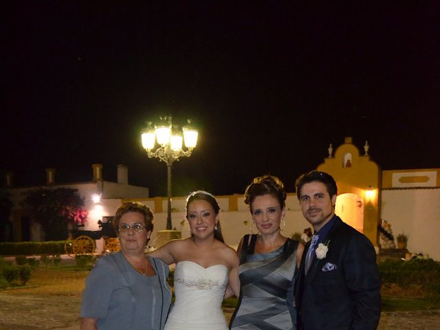 La boda de Miguel Angel y Elisabet en Dos Hermanas, Sevilla 10