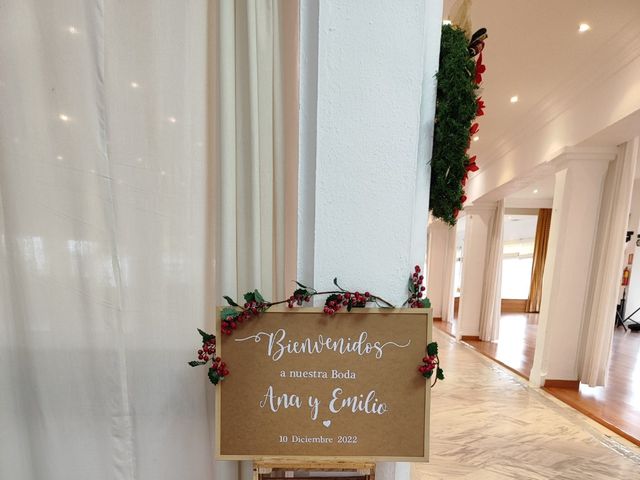 La boda de Emilio y Ana en Málaga, Málaga 6