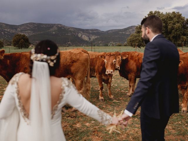 La boda de Maribel y Luis en Puebla De Don Rodrigo, Ciudad Real 2