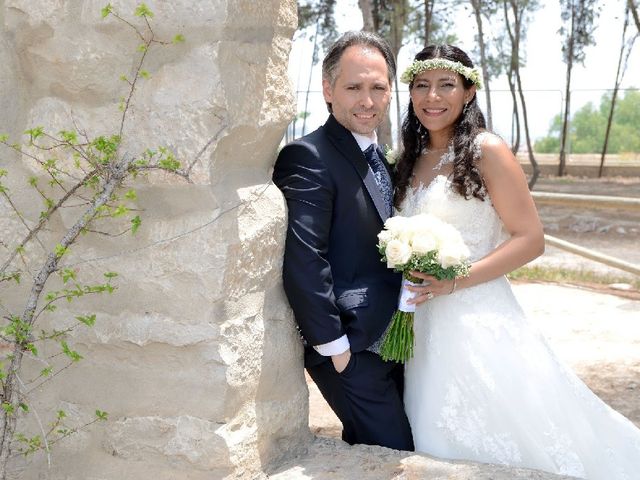La boda de Norma y Alberto en Novelda, Alicante 1