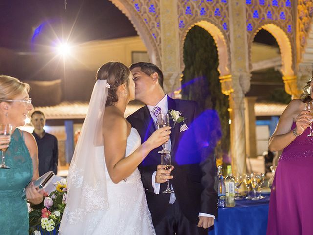 La boda de Borja y Cristina en Alhaurin El Grande, Málaga 16