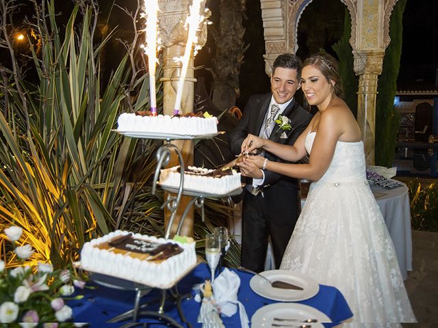 La boda de Borja y Cristina en Alhaurin El Grande, Málaga 15