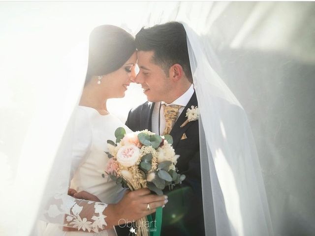 La boda de Federico y Beatriz en Puçol, Valencia 4