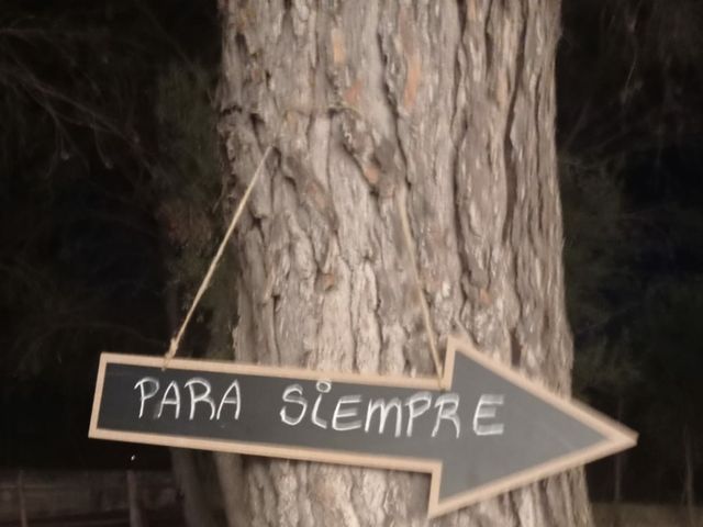La boda de Biel y Virginia en Binissalem, Islas Baleares 9