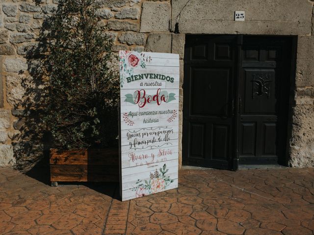 La boda de Álvaro y Silvia en Sotopalacios, Burgos 31