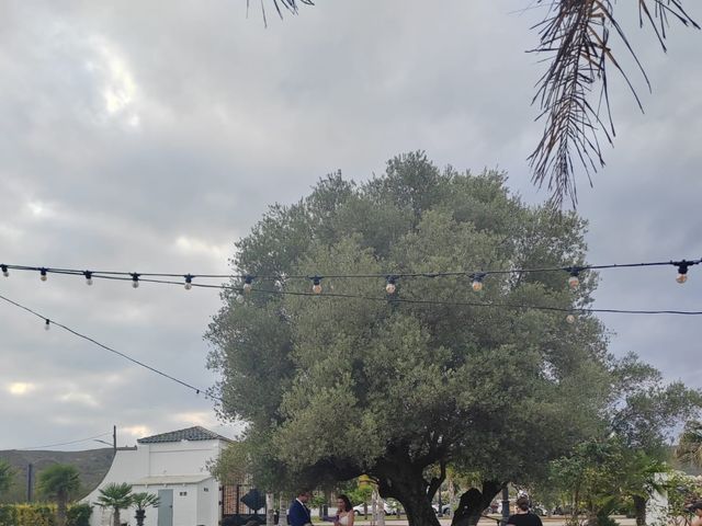 La boda de Judit y Pau en Alcalà De Xivert, Castellón 9