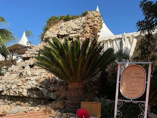 La boda de Francisco Javier y Estrella en Málaga, Málaga 21