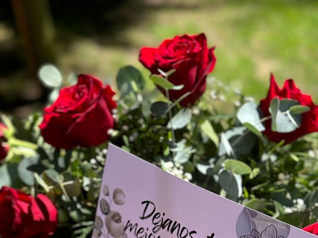 La boda de Samuel  y Alicia en León, León 13