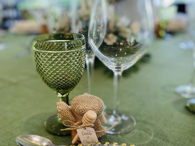 La boda de Pablo y Claudia en Elx/elche, Alicante 3