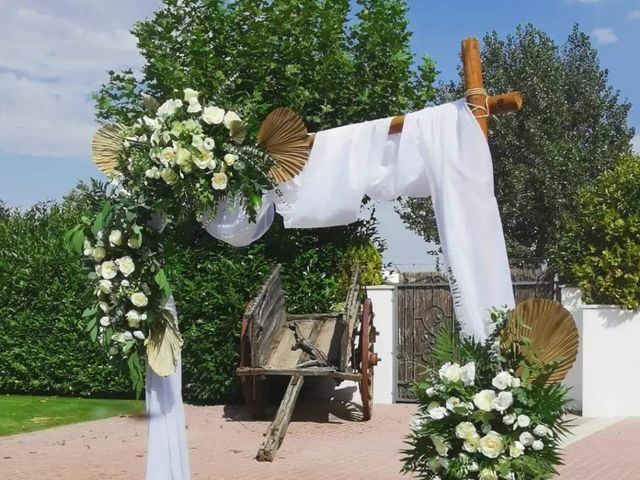 La boda de Juangry y Montse en Peñaranda De Bracamonte, Salamanca 6