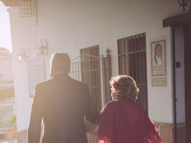 La boda de Cristóbal y Laura en Linares, Jaén 10