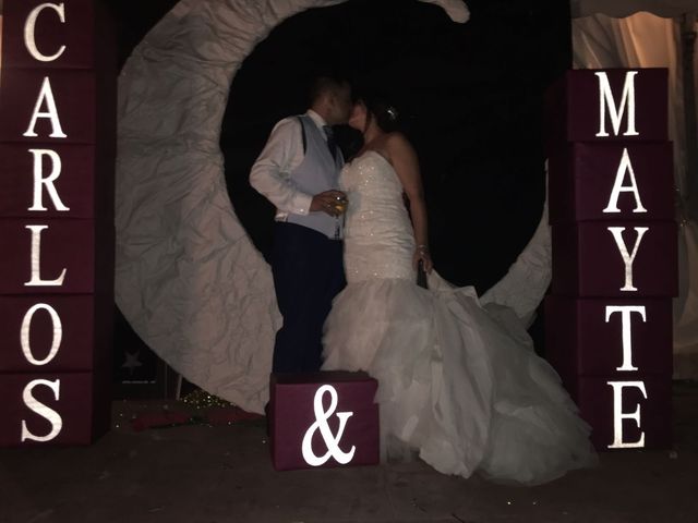 La boda de Carlos y Mayte  en Palma Del Rio, Córdoba 4