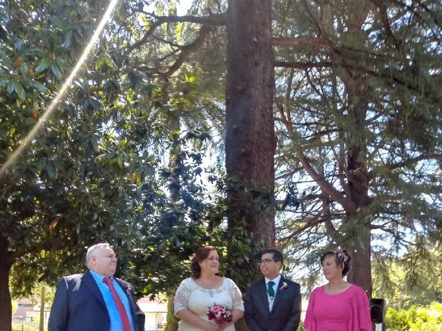 La boda de Iván  y Desirée en Puente Viesgo, Cantabria 11