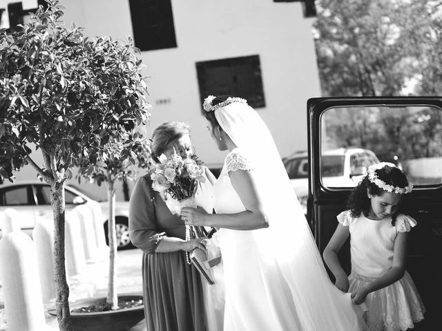 La boda de Tom y Ana en Villanueva Del Ariscal, Sevilla 13