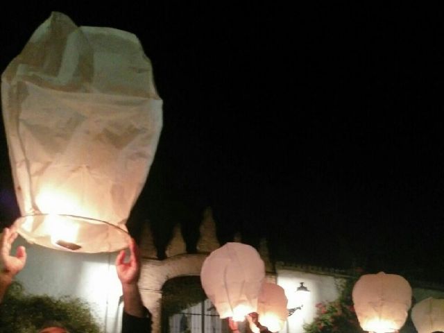 La boda de Tom y Ana en Villanueva Del Ariscal, Sevilla 20