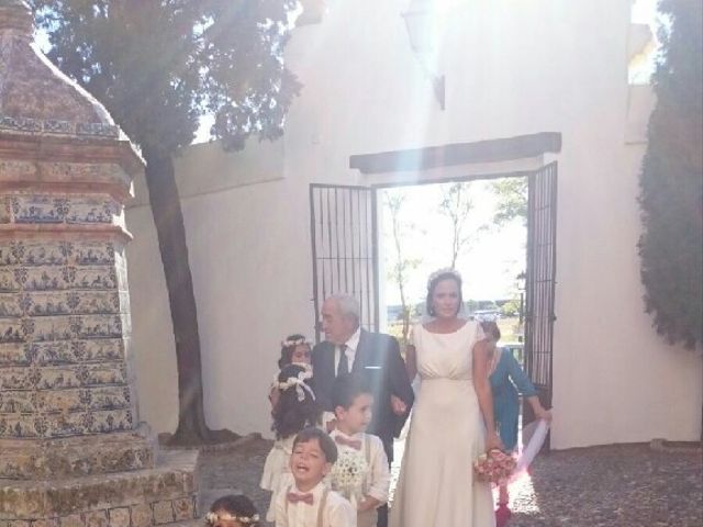 La boda de Tom y Ana en Villanueva Del Ariscal, Sevilla 21