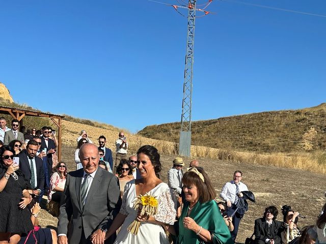 La boda de David y Erica en Herrera De Valdecañas, Palencia 6