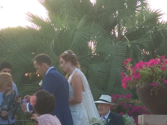 La boda de Pedro  y Bárbara  en Guadarrama, Madrid 7