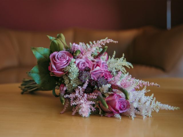 La boda de David y Nekane en Elciego, Álava 2