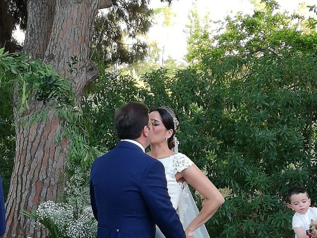 La boda de Jesús  y Lorena  en Estación De Cartama, Málaga 7