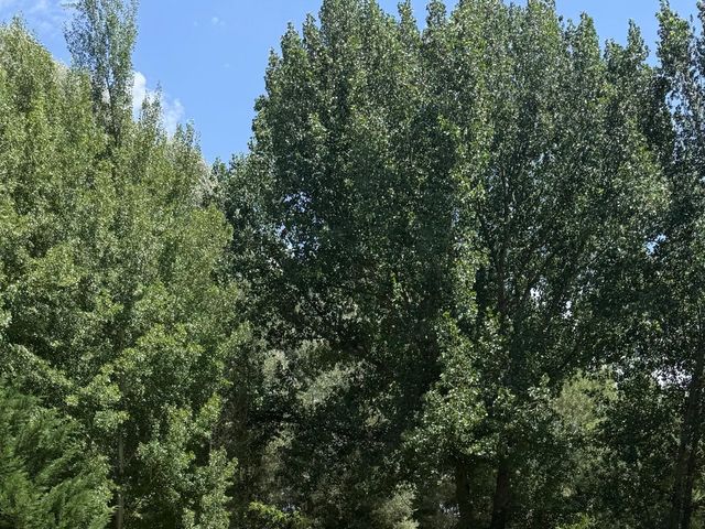 La boda de Cristóbal y Karen en Albarracin, Teruel 20