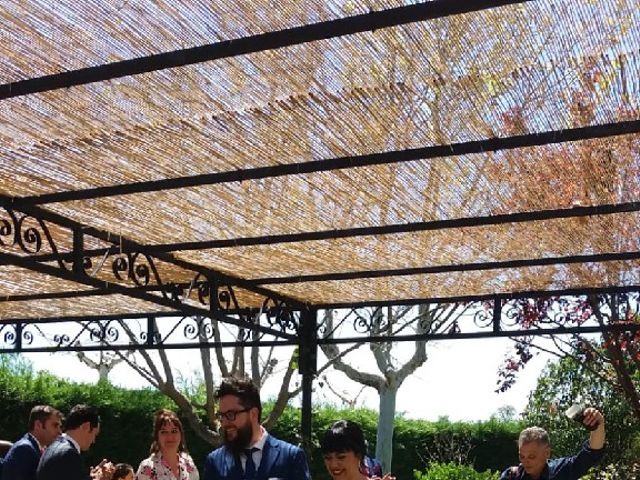 La boda de Julián  y Saray en Peñaranda De Bracamonte, Salamanca 6