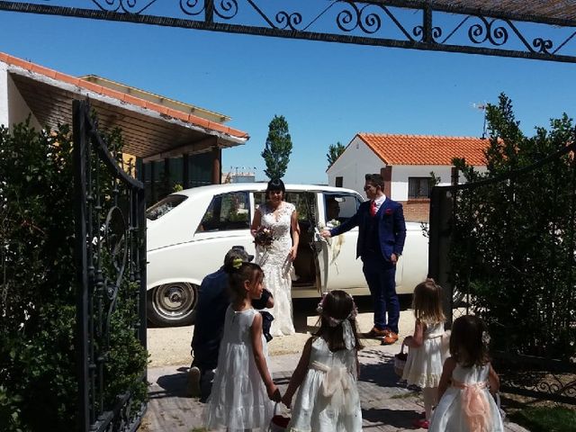 La boda de Julián  y Saray en Peñaranda De Bracamonte, Salamanca 1