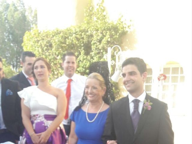 La boda de Antonio  y Verónica  en Jerez De La Frontera, Cádiz 7