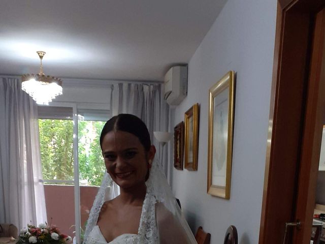 La boda de Luis y Virginia en Aldaia, Valencia 5